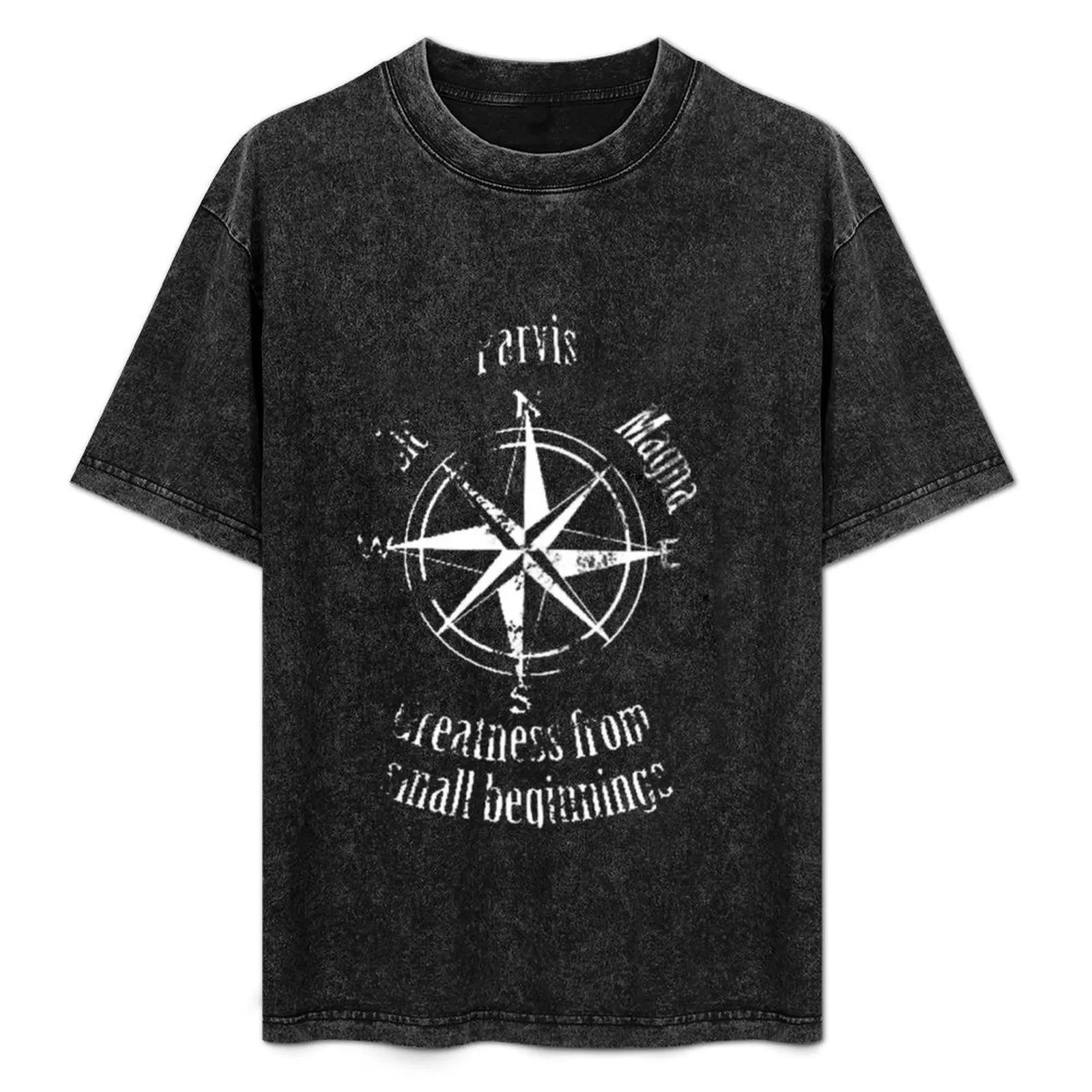 

Футболка Sic Parvis Magna, спортивная быстросохнущая футболка для мужчин