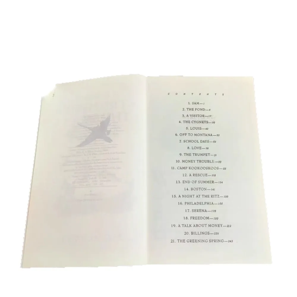 Труба Лебедя Английская версия