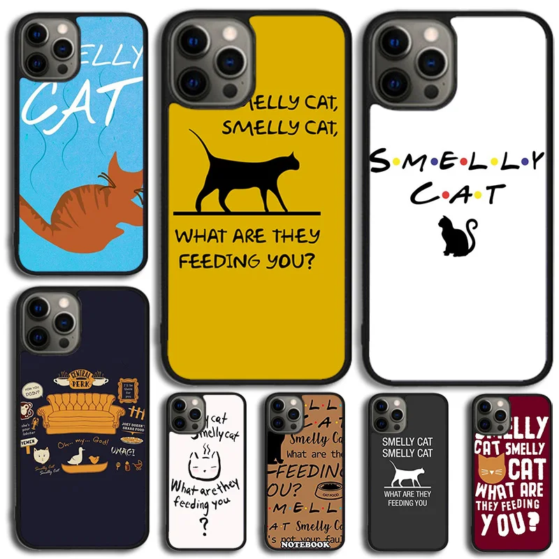 FRIENDS FUNNY TV SHOW PHOEBE SMELLY CAT Phone Case Cover For iPhone 15 16 14 XR XS 11 12 13 Mini Pro MAX Plus