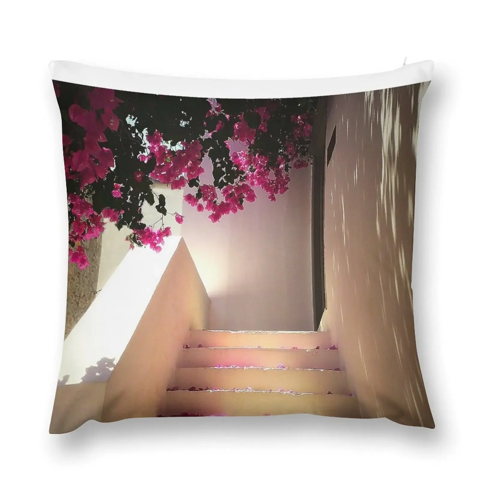

Summer Dreams Throw Pillow Decorative Cushion Cover Decorative Cushions pillow