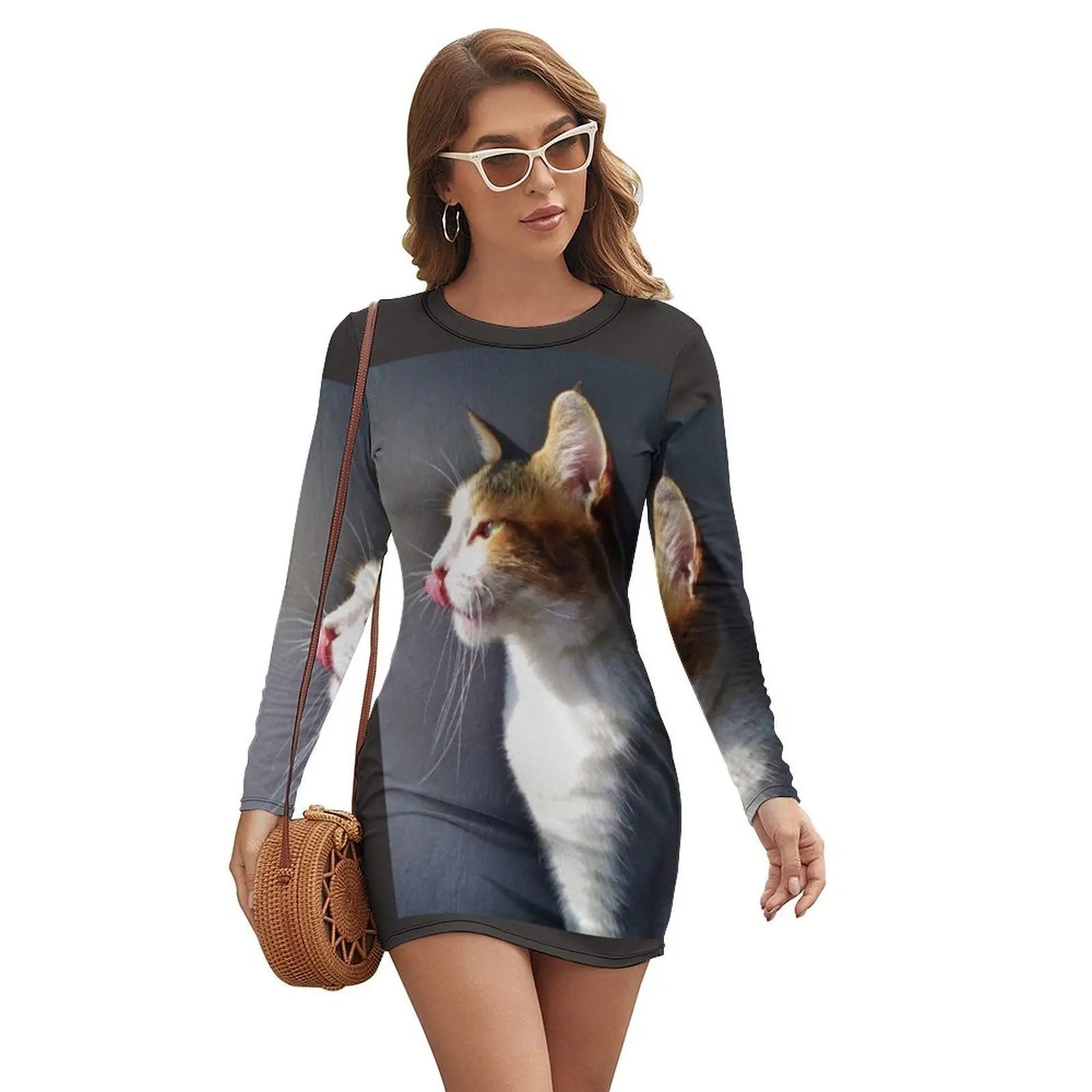 

My friend Lily's cat Long-sleeved Dress luxury evening dress woman for wedding woman dress dresses for womens