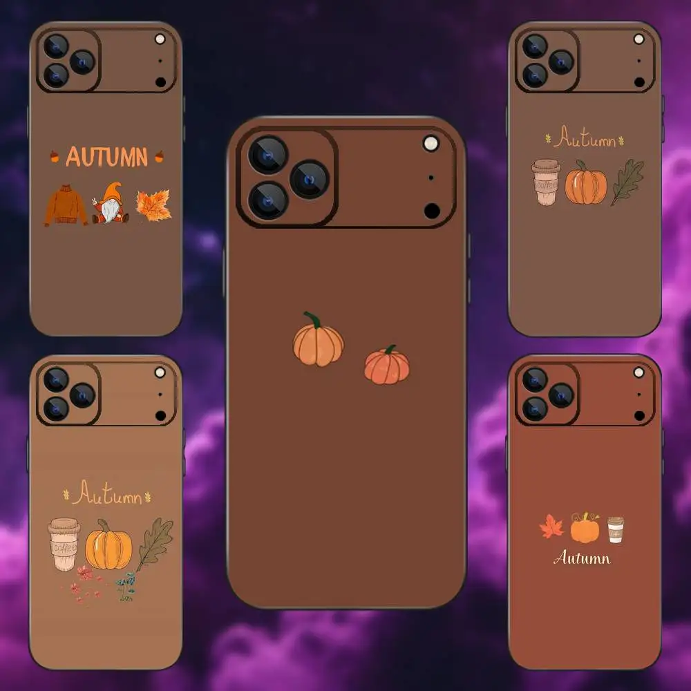 

Autumn leaves pumpkin Phone Case For iPhone 17,16,15,14,13,12,Pro,Max,Plus,E,SE4,Air,Mini Black Soft Box