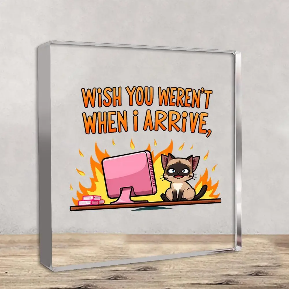 Brand Wrought Iron Wall Art Maine Cat Flame PC Acrylic Sign Humorous Cartoon Orange Sarcasm Text 2D Seasonal Decor Collectible