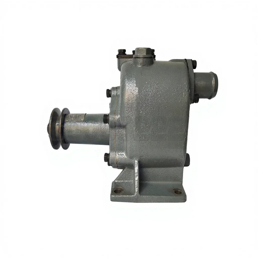 Seawater Pump Assembly 1002496539 Marine Parts  762D-21C-000a for Weichai WP13 Diesel Engine