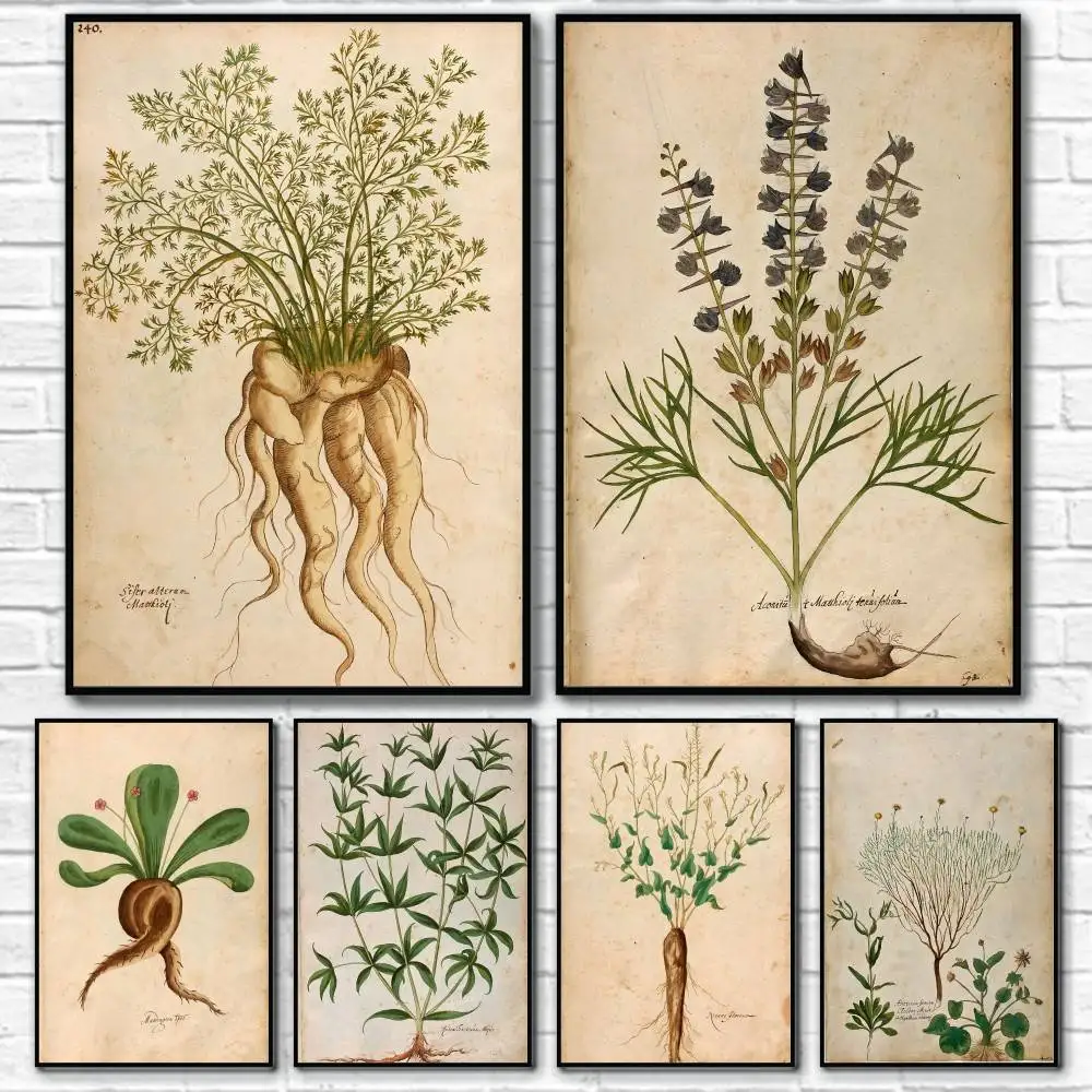 

Retro Plants Exhibition Poster Home Living Bed Room Bar Hallway Sticky Wall Art Printing Waterproof Aesthetic Decor