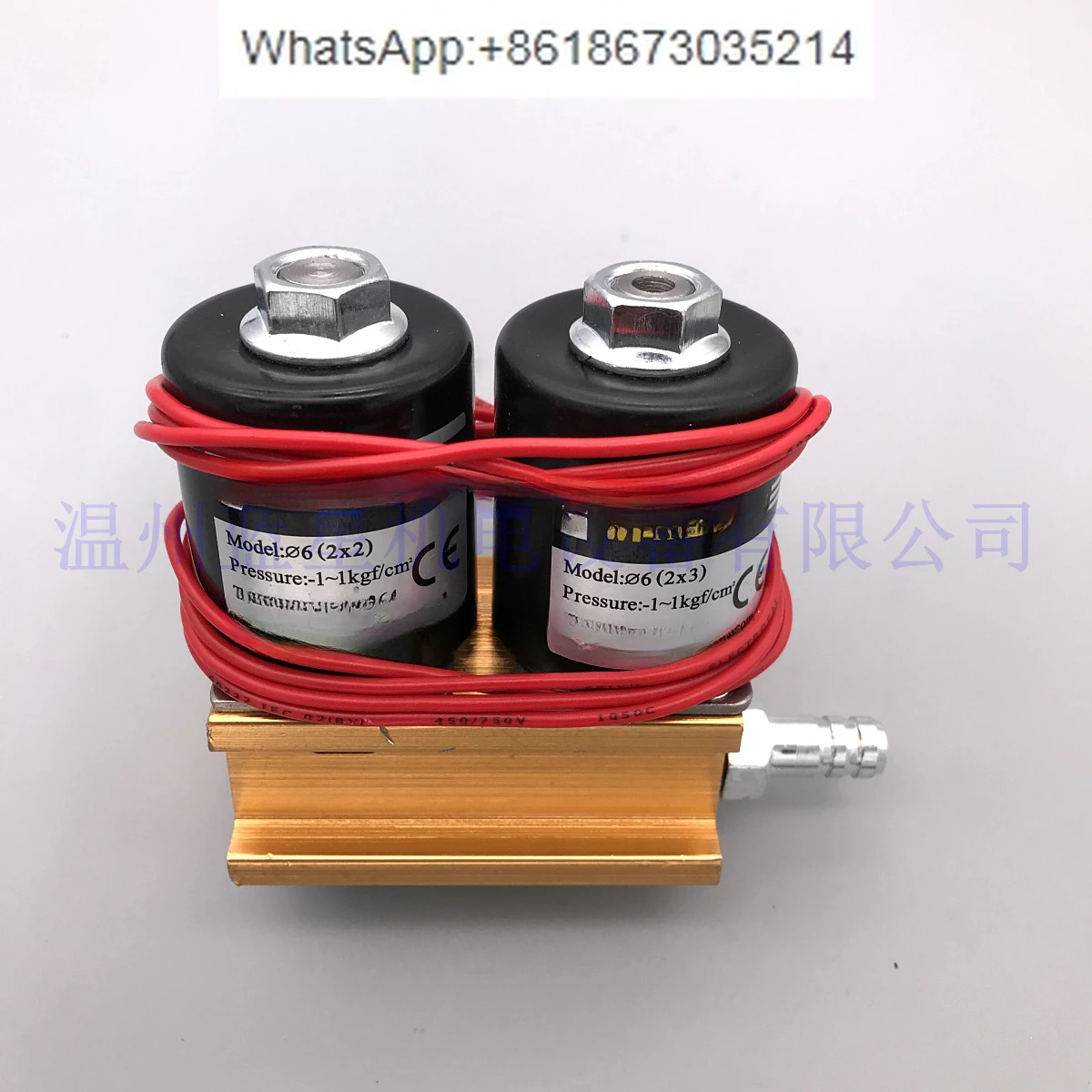 Solenoid valve Combination valve 6 (2X2) and 6 (2X3) 220V 24V