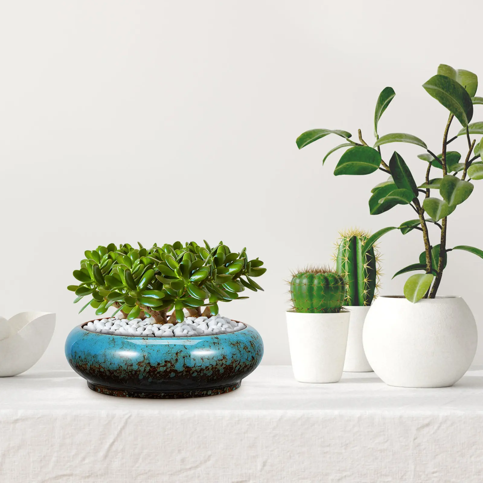 Sleep Lotus Ceramic Succulent Planter Round Shallow Plant Pot Drainage Flower Container Indoor Bonsai Shallow Plant Pot