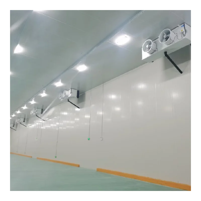 Maßgeschneiderter Industriekühler, Gefrierschrank, Lagerung, Transport, Kühlraum, Gefrierschrank, Walkin-Kühler, Direktverkauf ab Werk