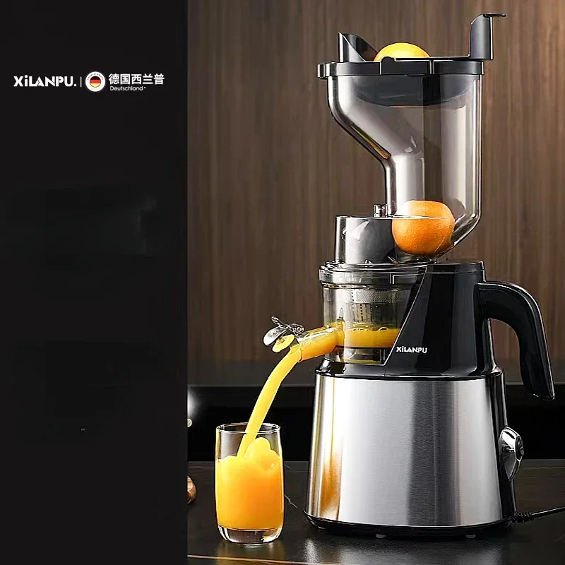 German Syrup Juicer Commercial High Capacity Juice Residue Separation Multifunctional Fried Fruit Stainless Steel 220V