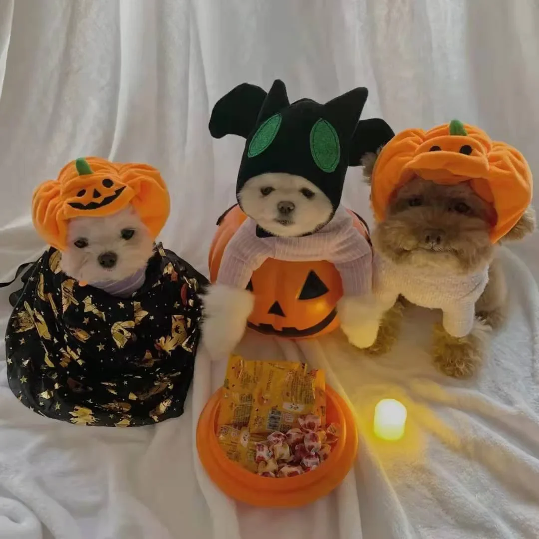 

Pet Cat Dog Pumpkin Hat Halloween Ghost Festival Headdress Supplies Small Medium and Large Dog Teddy