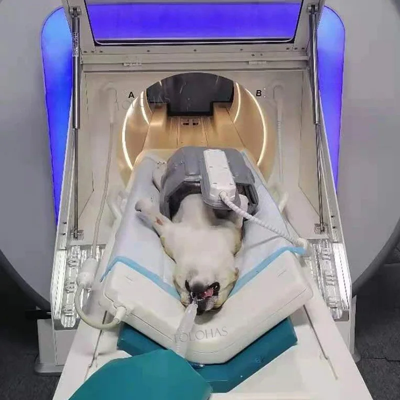 LHWMRI2 Superconductivity Animal-specific V-shaped Patient Table Vet 1.5T MRI System For Animals