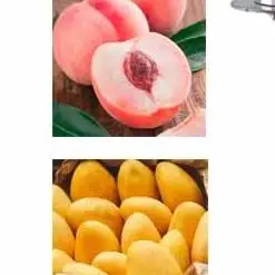 

Automatic Round Or Oval Fruit Peeler Electric Apple Pear Persimmon Skin Remover Machine