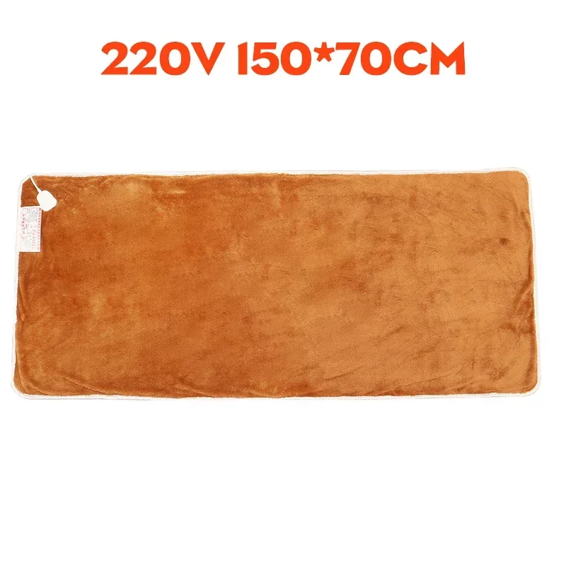 220V Electric Heating Blanket Winter Electric Blanket Thicker Heater Double Body Warmer Heated Blanket Thermostat
