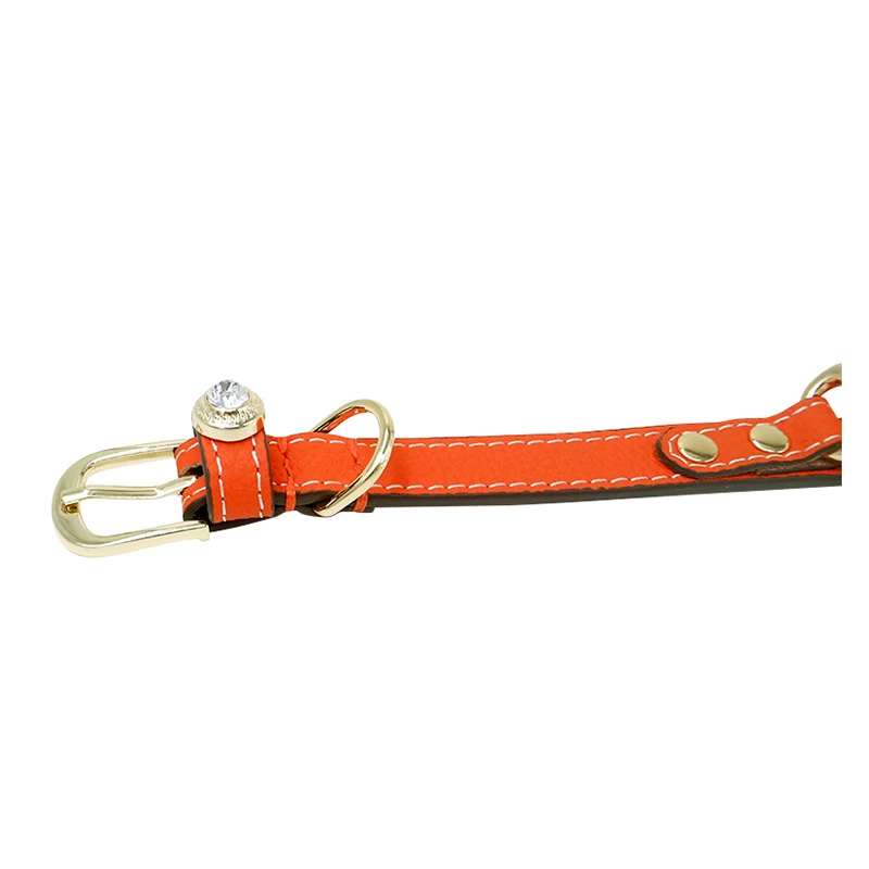 Elegant Orange Leather Pet Collar with Golden Hardware for Fashion - Loving Pets