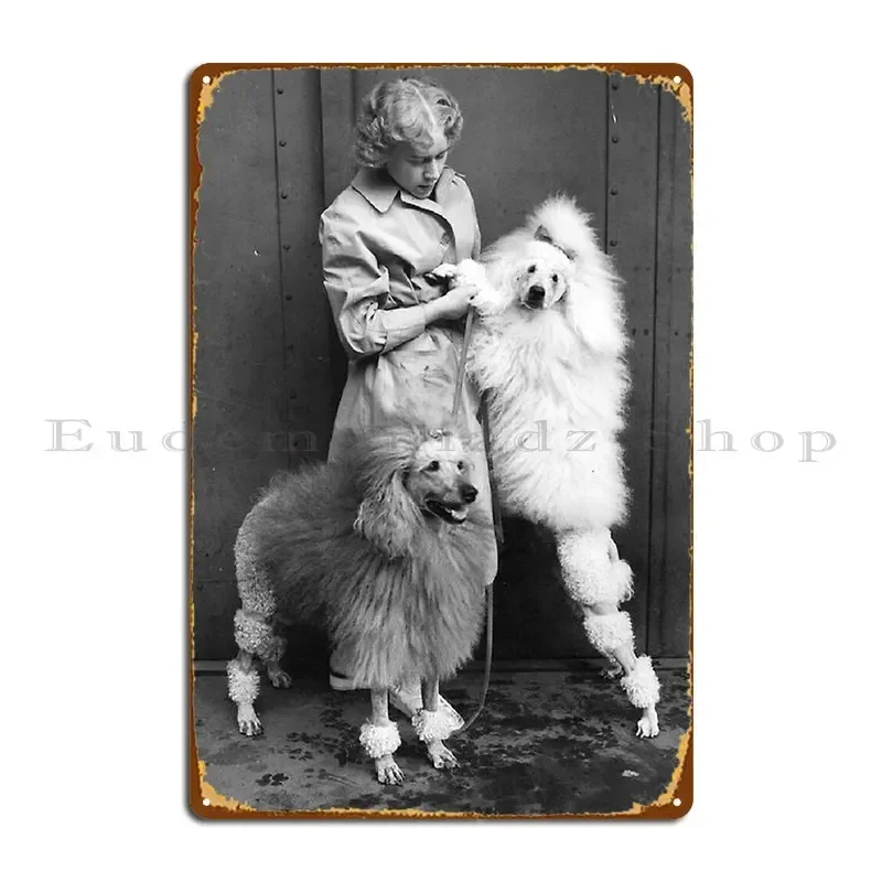 Poodle Vintage Photo Cute Pet Dog Dos Pets Puppy Sweet With Girl Metal Signs Designing Garage Print PaintingCinema
