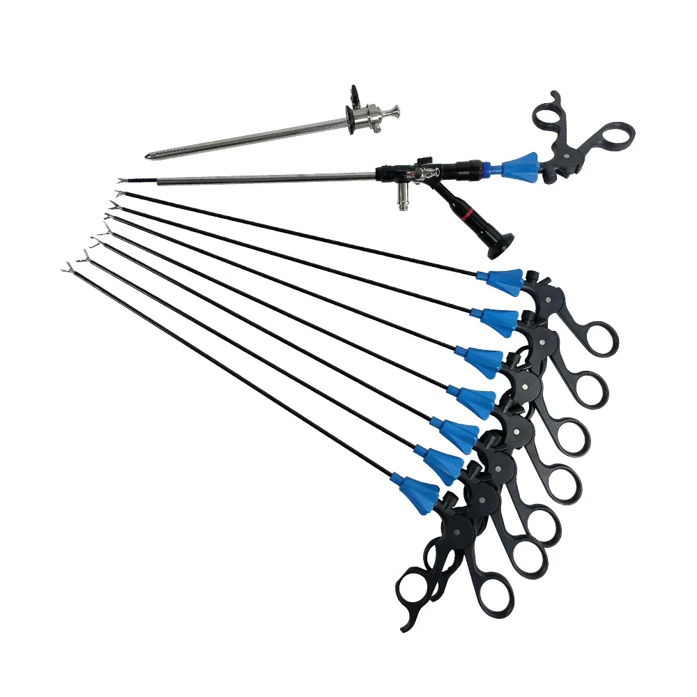 Camjoy Rigid Hysteroscopy Gynecology Set, 24Fr 26Fr 12 Degree Hysteroscope with Working Sheath and Forceps
