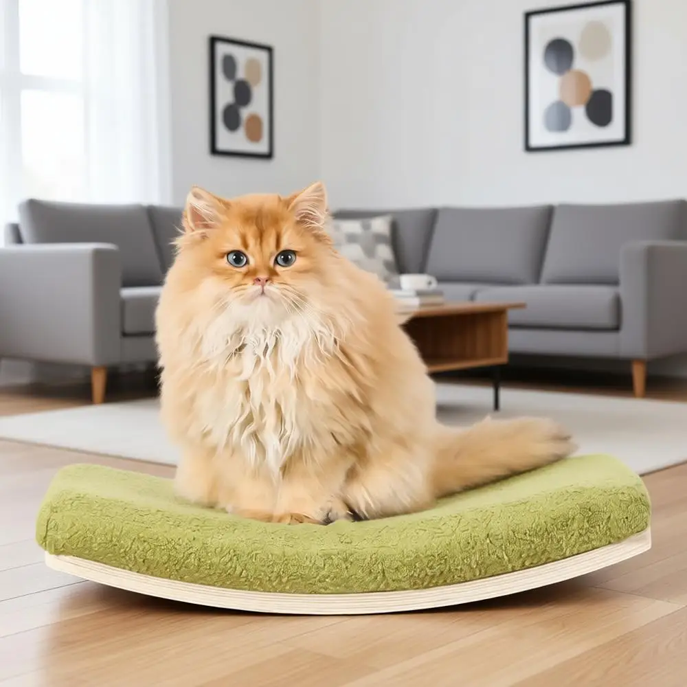 

Изогнутые полки, подставки, подвесная кровать с удобной подушкой