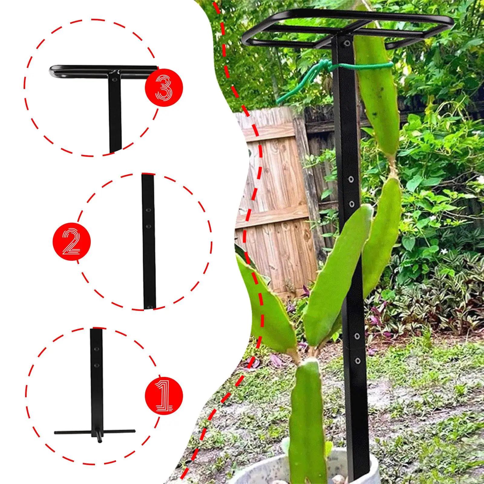 

Dragon Fruit Trellis Garden Climbing Support Easy Installation Adjustable Height for Houseplants Vegetables Balcony Courtyard