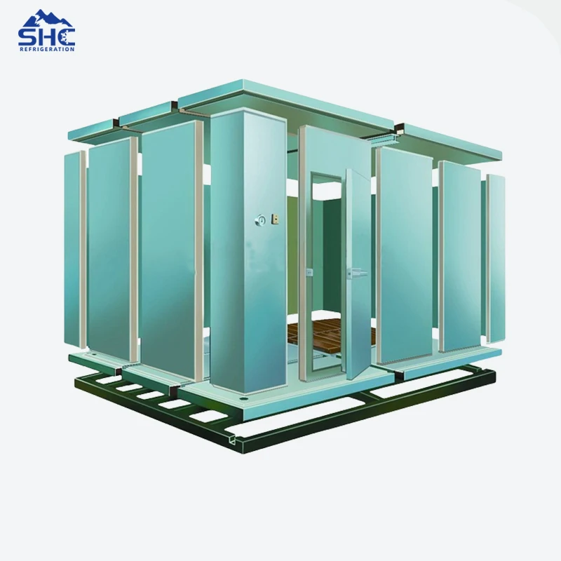 Walk in Freezer Cold Room /Cold Room Storage/Cold Storage Walk-in Cold Storage Cold Storage Project