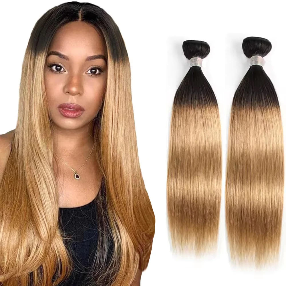 100-remy-hair-t1b-27-honey-blonde-human-hair-bundles-double-weft-ombre-hair-weave-virgin-hair-extension-hair-weaving-1-3pcs