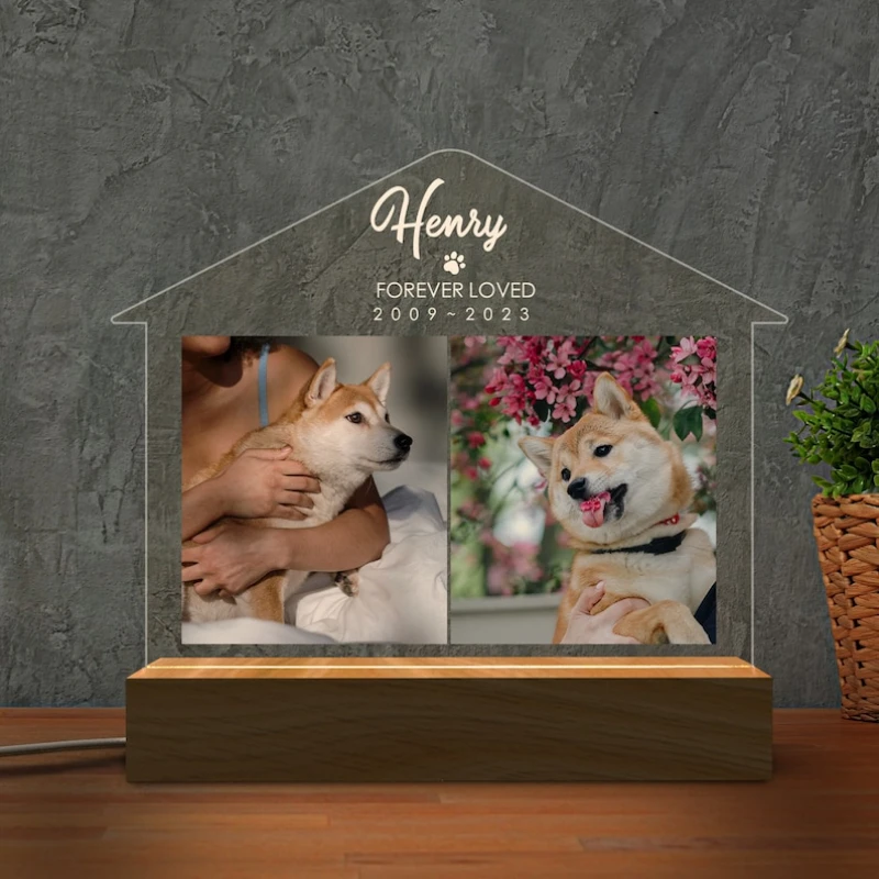 

Персонализированный декор с фотографией питомца, эксклюзивное художественное украшение для дома, кабинета, прихожей, тумбы, изысканный подарок для владельцев питомцев