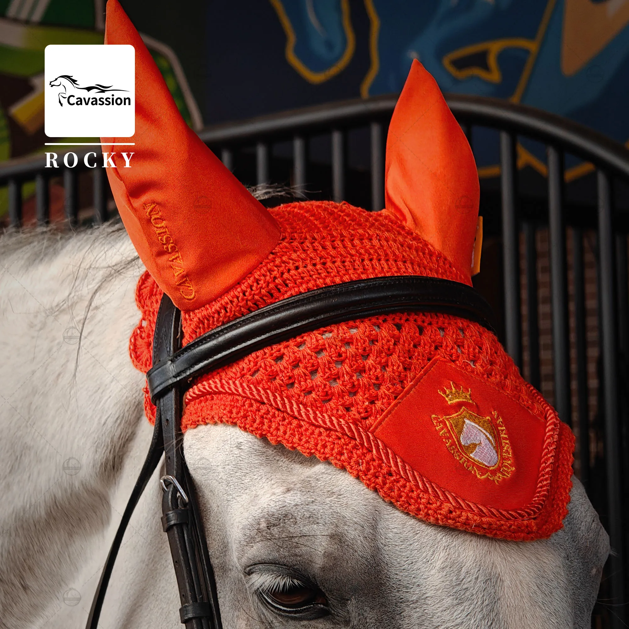 Only the Horse Lead Rope Not Include Riding Training Equestrian Equipments Such as Horse Ear Cover Saddle Pad Leg Bandage Halter