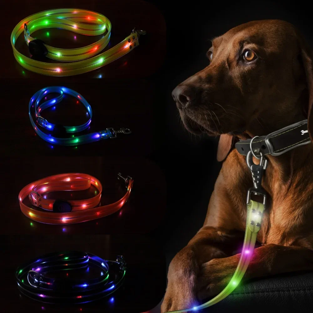 USB Rechargeable LED Leash for Dogs, Walking Safety, Glow in the Dark, Adjustable for Small, Medium, Large, Glowing Pet Leashes