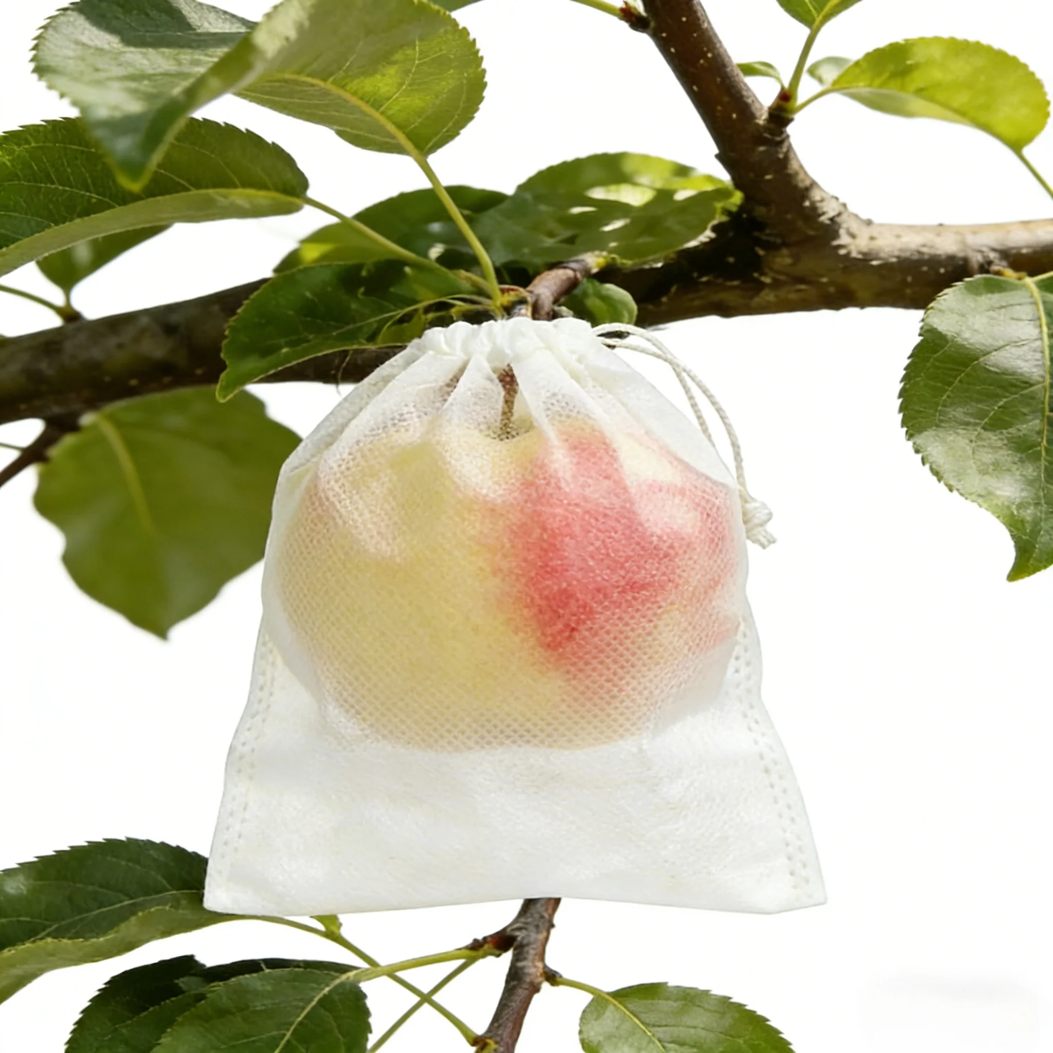 50 Stück 20x30cm Garten-Obstschutzbeutel für Trauben, Netzbeutel gegen Insekten, Schädlinge und Vögel, Pflanzennetzbeutel mit Kordelzug – Detail 6