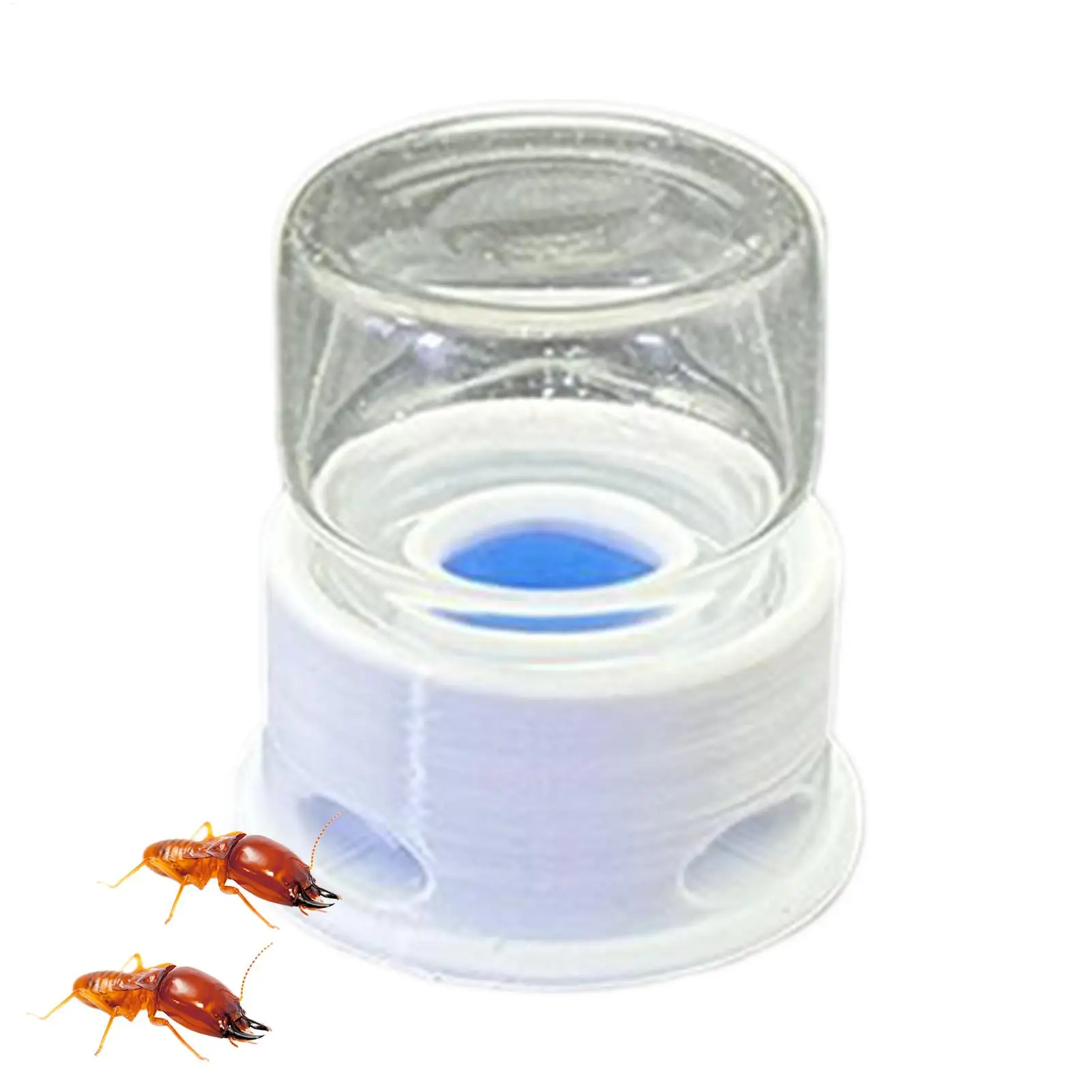 Transparenter Trinknapf für Ameisen, Wasserspender für Heuschrecken, Wasserspender zur Vermeidung von Ertrinken für Ameisen, Bienen, Heuschrecken, für Zuhause, Klassenzimmer, im Freien