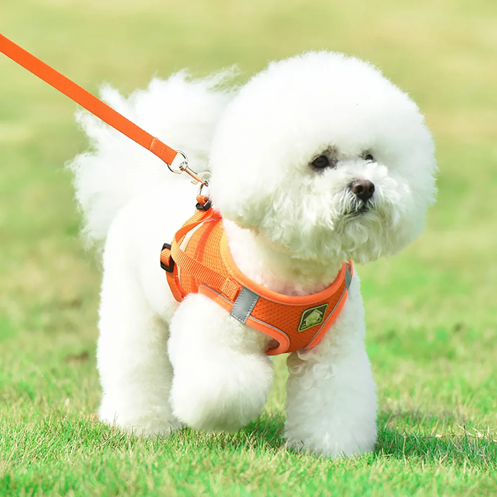 Hunde brust geschirre weiches Netz gewebe atmungsaktives Unterhemd Hunde leine reflektierende atmungsaktive hundes ichere Leine Haustier bedarf