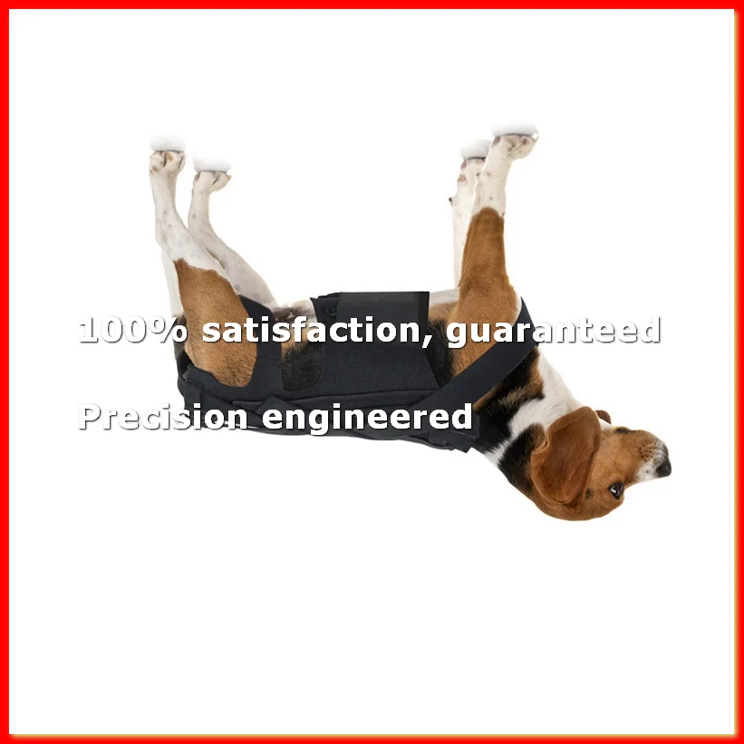 

Dog Back Brace for IVDD,Pet Dog Back Brace Comfortable Full Body Harness Dog Clothing Dog Back Protector L-A79M