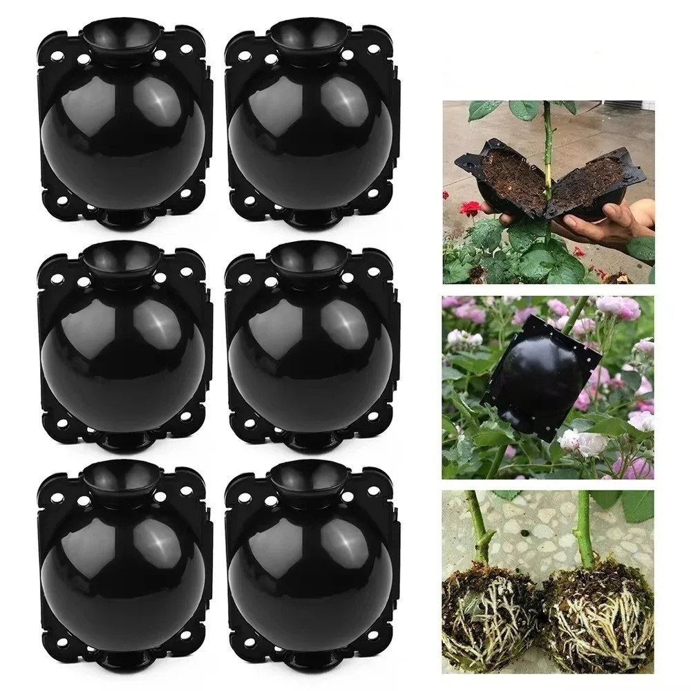 

Набор из 3 пластиковых коробок для быстрого укоренения растений с защитными замками, устройство для укоренения, гидропоника