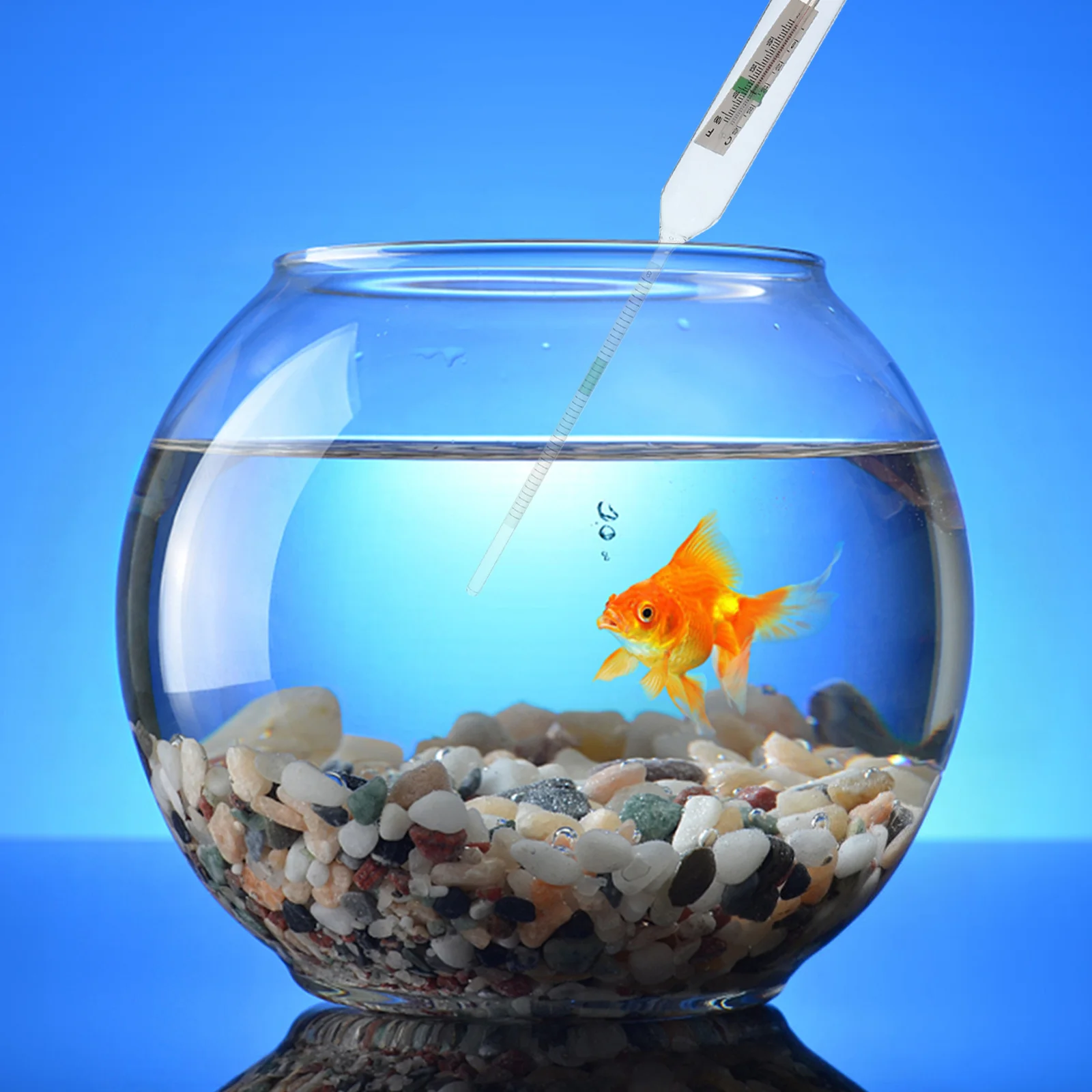 

Hydrometer Solid Glass Aquarium Salinometer Sea Water Testing Tool Accurate Water Meter for Fish Tank