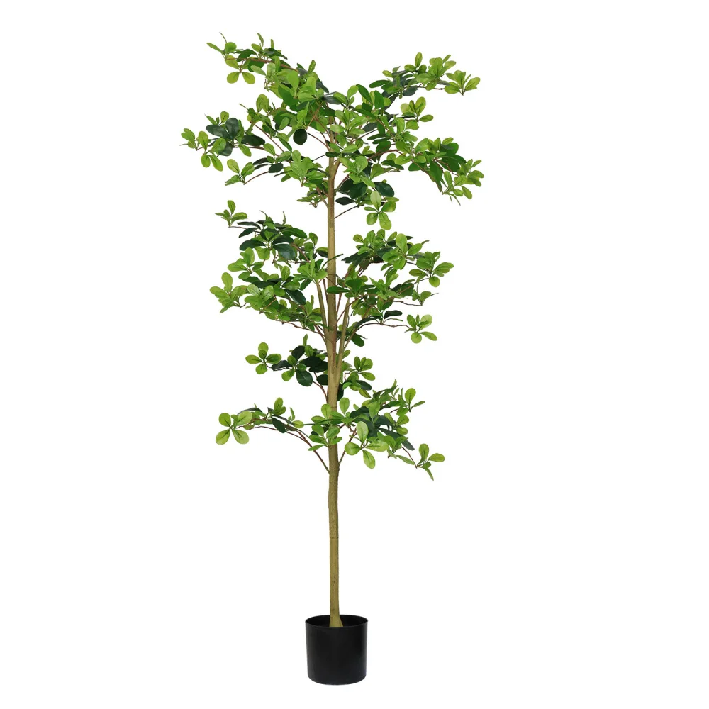 

6FT Tall Artificial Tree, Fake Polyscias Fruticosa Plant for Indoor Decor, Potted Faux Silk Greenery for Living Room,1pc/set