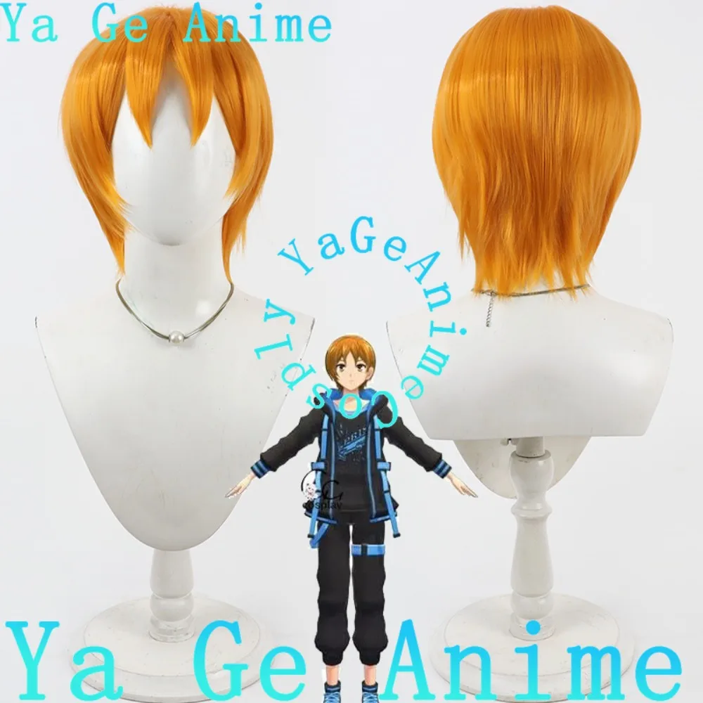 

Ya Ge Anime Pretty Rhythm: Aurora Dream Hayami Hiro Cosplay Wig Anime Halloween Carnival Party Synthetic Heat Resistant Hair