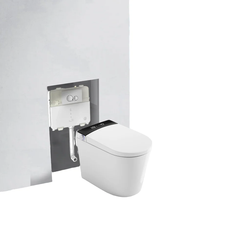 

Watermark CE Europe Automatic Electric Toilet Bidet WC Auto Flush Intelligent Smart Toilets With Remote