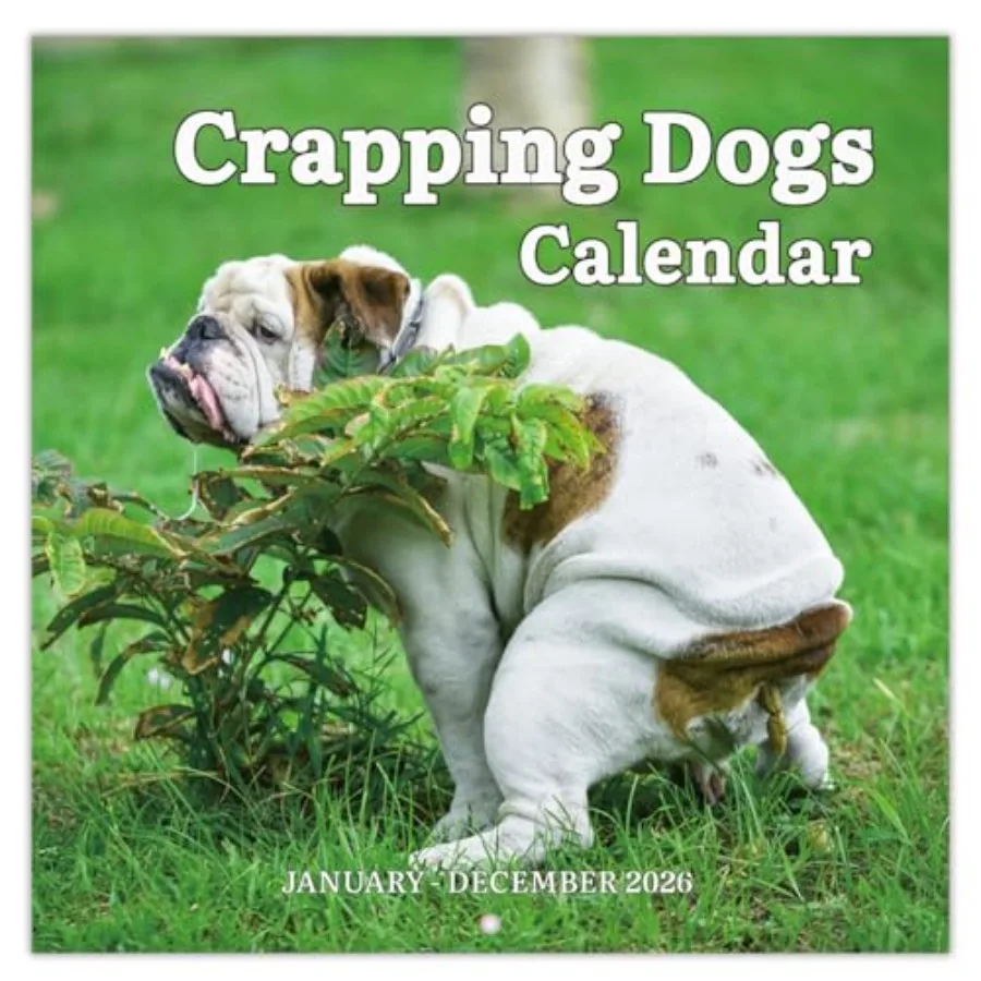 2026 Wall Calendar … - image