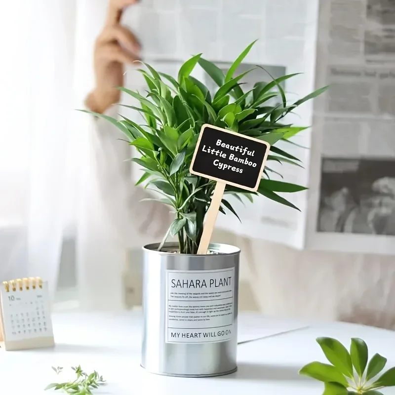 10 قطعة/20 قطعة تسميات النباتات الخشبية الريفية T-شكل علامات الحديقة السبورة رسالة مجلس الطابق جبل حديقة التسمية لوازم الحدائق #4