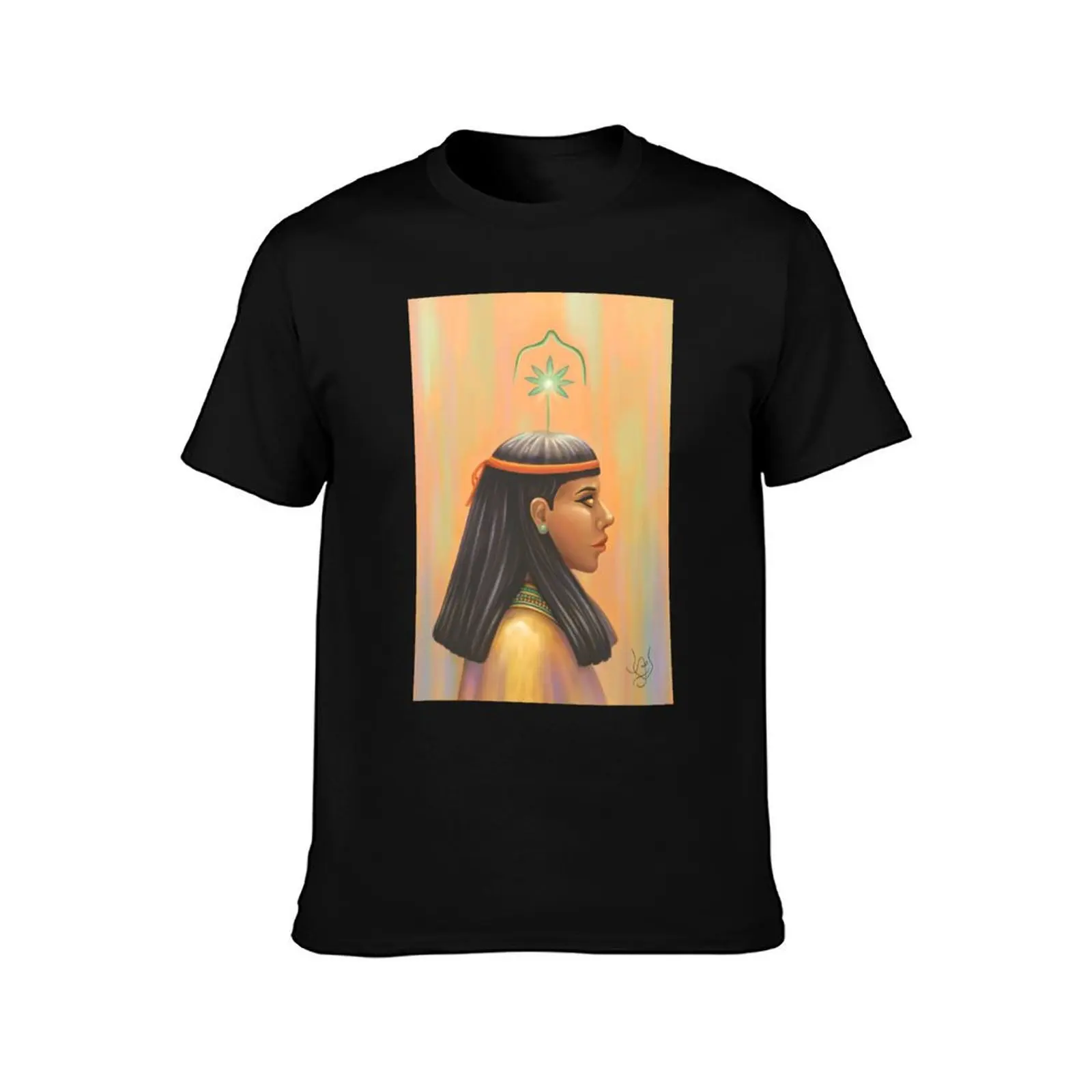 Seshat T-Shirt quick-drying customs design your own anime vintage graphic tee compression shirt men