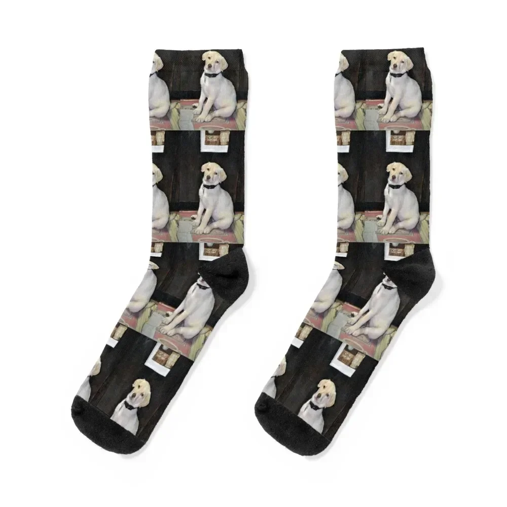 White Labrador Socks happy snow anti slip football floor Socks Ladies Men's