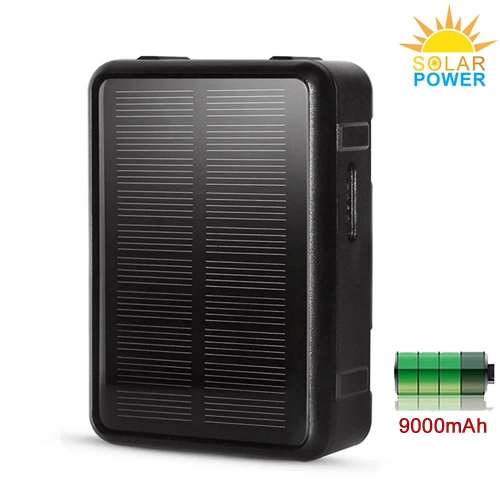 2G RF-V34 Sheep Cow… - image