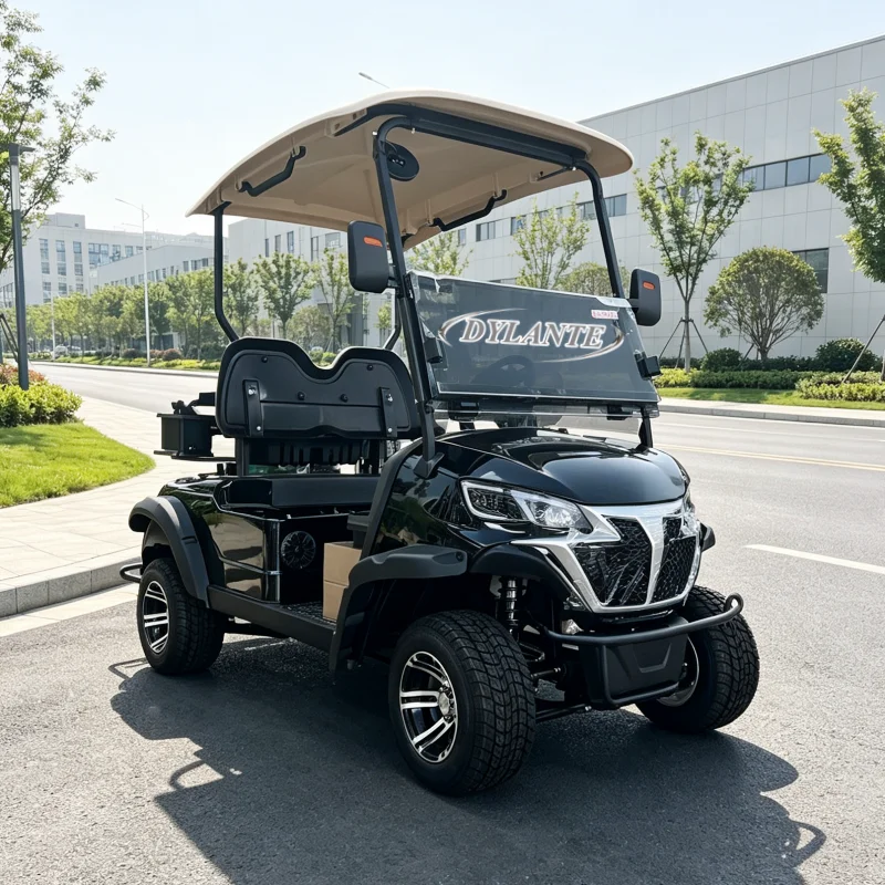 Lifted Off Road 2 Passenger Electric Golf Cart 48V/72V Lithium Battery Golf Buggy 2 Seater Utility Car for Hunting Farm Villa