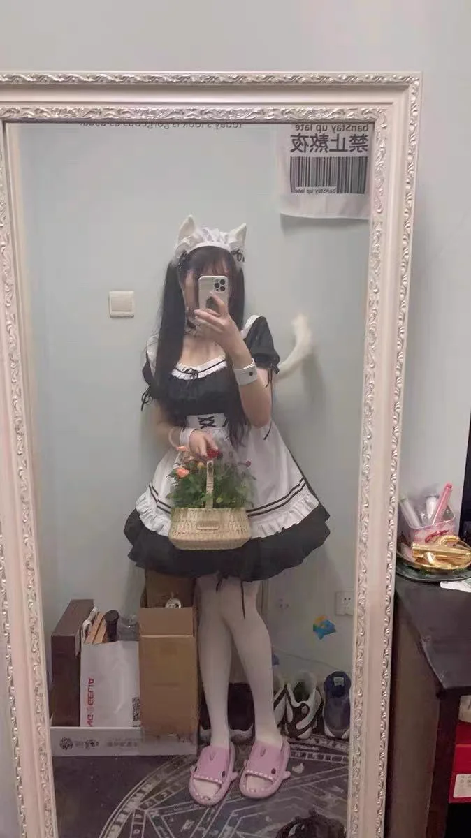 Wolf Fuchs Katze Schwanz und Ohren Kit Cosplay Set Halloween Kleid Up Anime Lolita Set