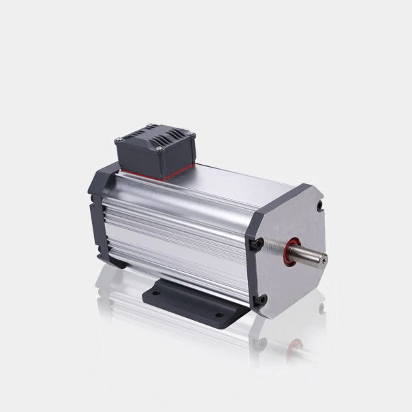 72v 3hp 220v 72v 4kw ev boat outboard compact neodymium magnet electric brushless dc  bldc motor