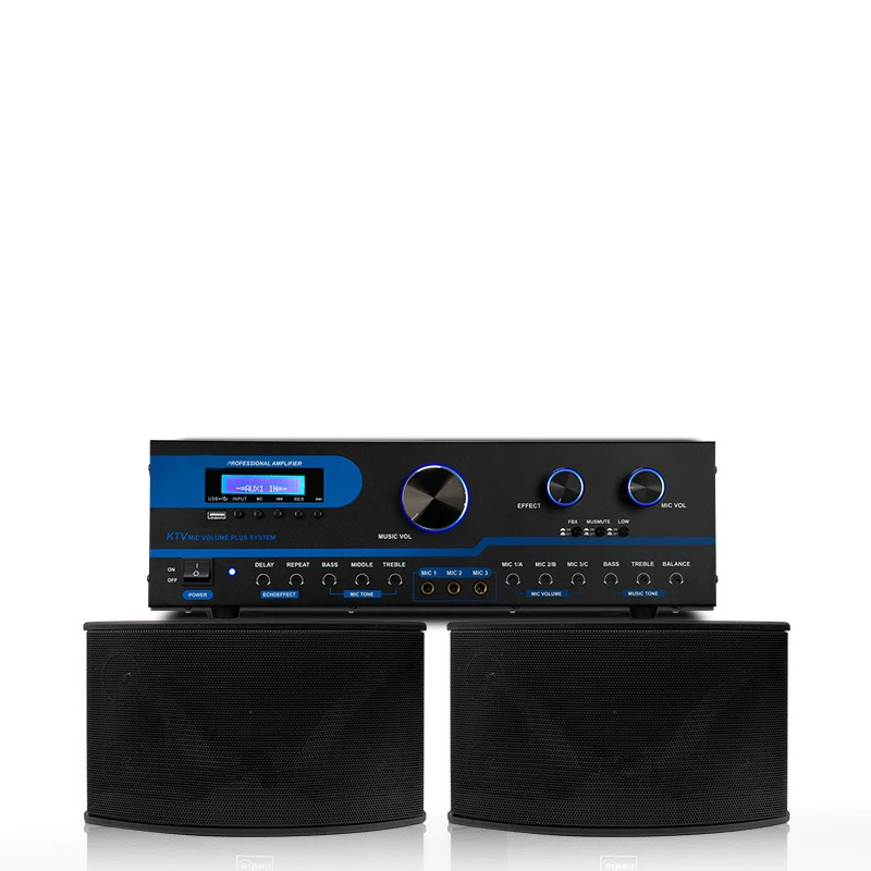 Professional KTV Sound Commercial Karaoke System Whole Set with 10 Inch Stage Speaker for Music Enthusiasts