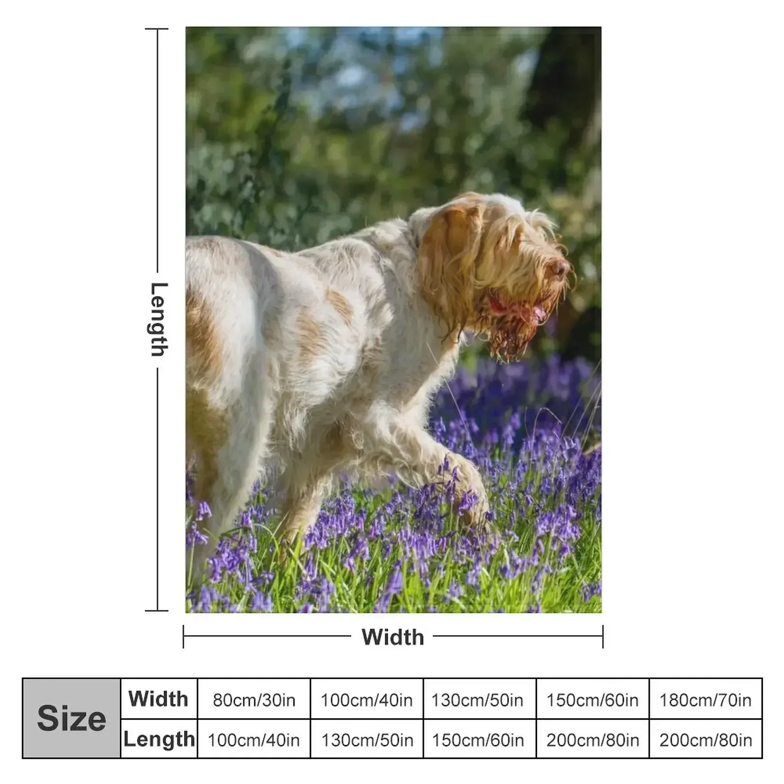 Bluebell wood Spinone Throw Blanket Summer Beddings Cute Blankets