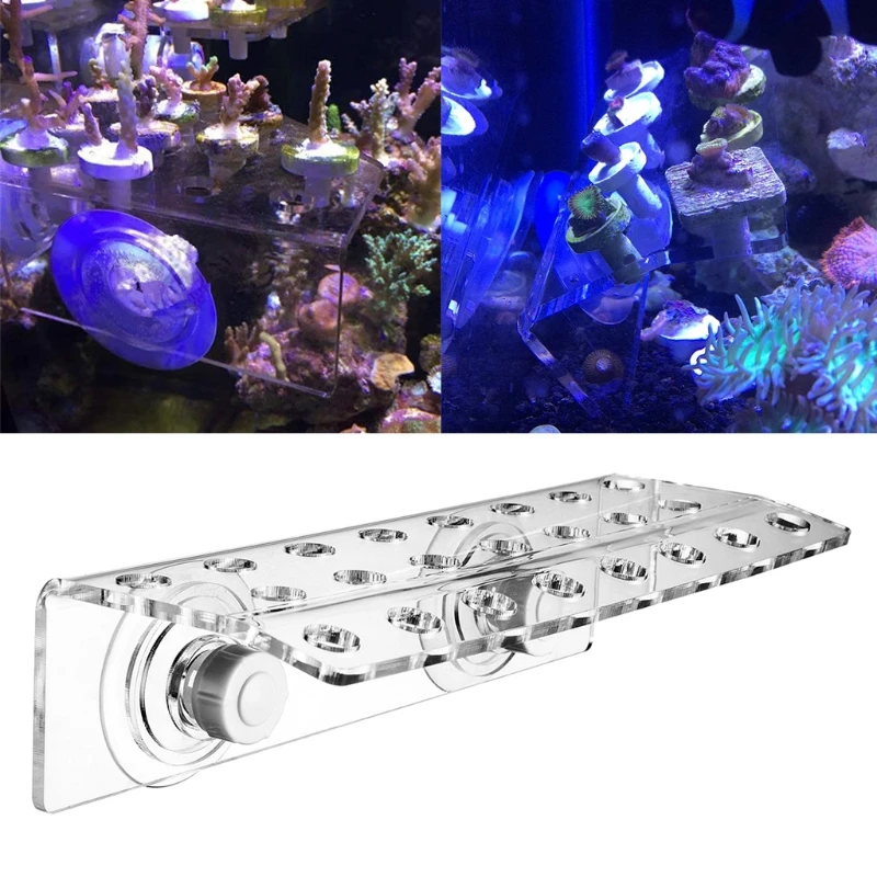 

23-луночная стойка для коралловых ароматов, акриловая рыбка для аквариума, держатель для коралловых ароматов, первый ряд, гибочная рифовая рамка, мощное всасывание