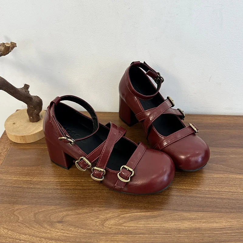 Women's 2025 New Autumn All-match Heightened Mary Jane Shoes Retro French Block Heel Shallow Single Shoes