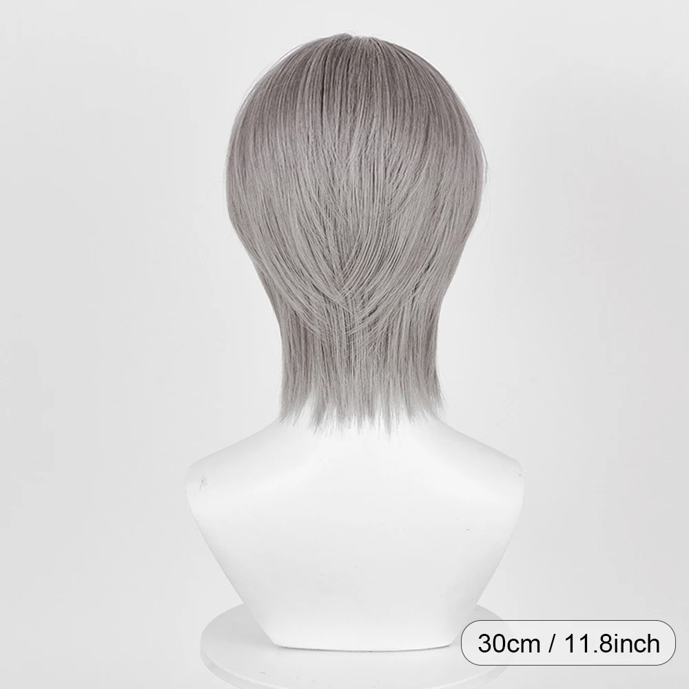 Anime Game Grey Cosplay Wig Middle Part Synthetic Short Straight Fluffy Wig Heat Resistant for Daily Party