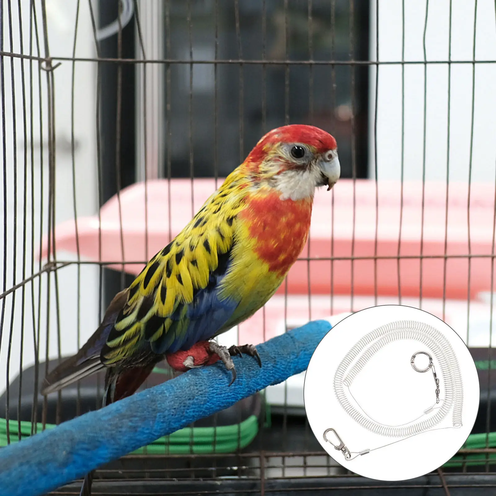 Adjustable Parrot Flying Harness Bird Training Chain Elastic Traction Rope Secure Grip Portable Pet Bird Fly Train Kit